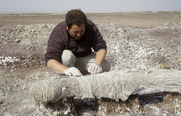 A sauropod bone in the Sahara Desert is wrapped in plaster and burlap in a process known as jacketing
