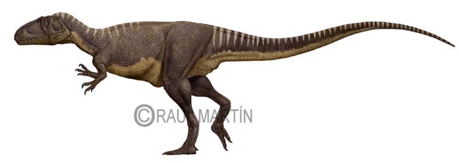 Megalosaurus by Raul Martin