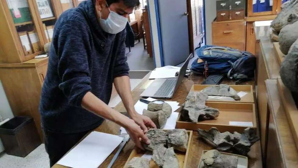 Credit: Universidad de Chile/AFP