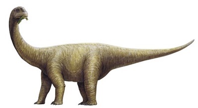 Rhoetosaurus brownei