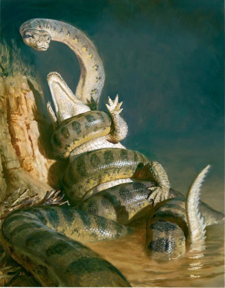 Madtsoia by James Gurney