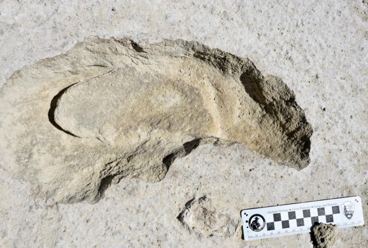 Human footprint inside giant sloth track at White Sands National Monument. Image credit: National Park Service.