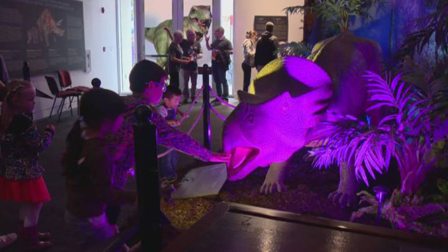 The Museum of Surrey reopened on Saturday with a pre-historic display that proved a big hit with the younger crowd. Global News