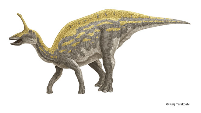 Tsintaosaurus by Keiji Terakoshi