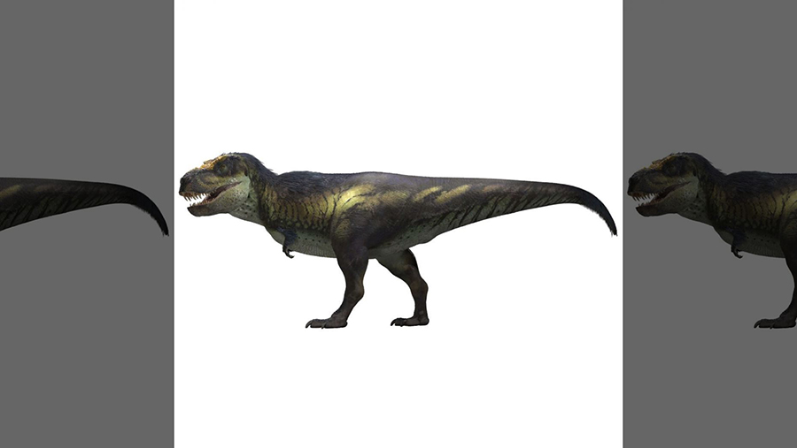 (Credit: Animism Studios for IMG)